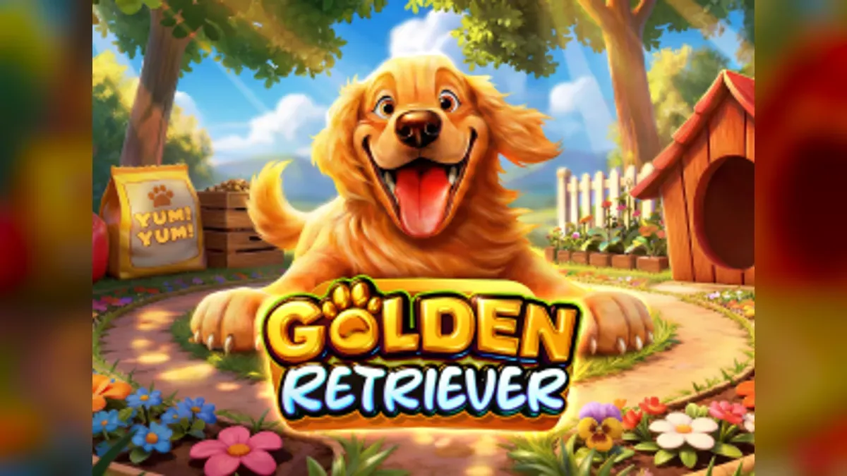 Golden Retriever kapak görseli